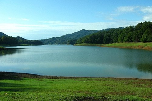  - Image 5